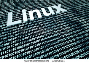 Install Linux in our computer...