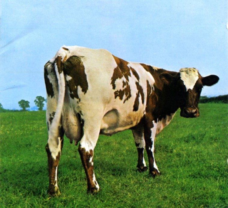 cropped-pink_floyd_atom_heart_mother_1994_retail_cd-front.jpg
