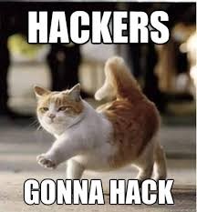 Image result for hackers meme