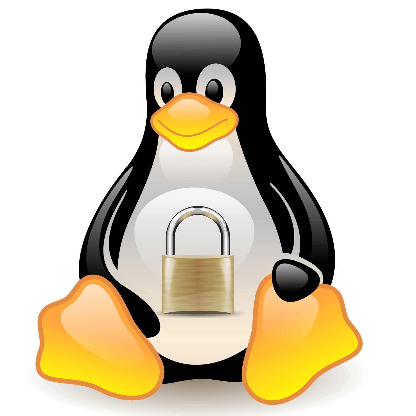 Resultado de imagen para secure linux